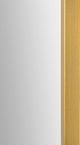 Renwil® Raydon Satin Brass Mirror-5
