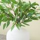 Magnolia Home by Joanna Gaines Green Seeded Eucalyptus Stem-3
