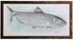 Stylecraft Shad Wall Art-0