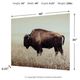 Signature Design by Ashley® Brutus Sepia Wall Art-2
