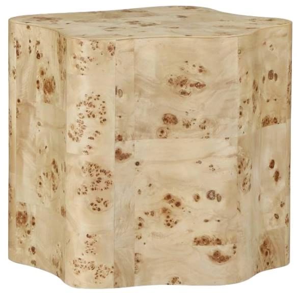 Meridian Furniture Zaire Burl End Table-0