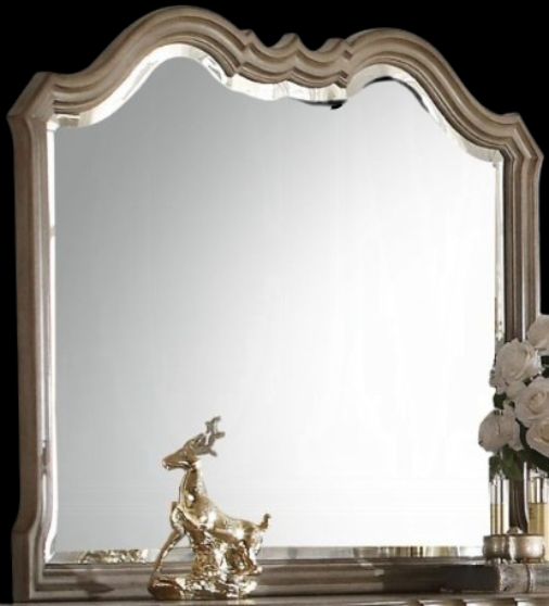 ACME Furniture Chelmsford Antique Taupe Mirror-0