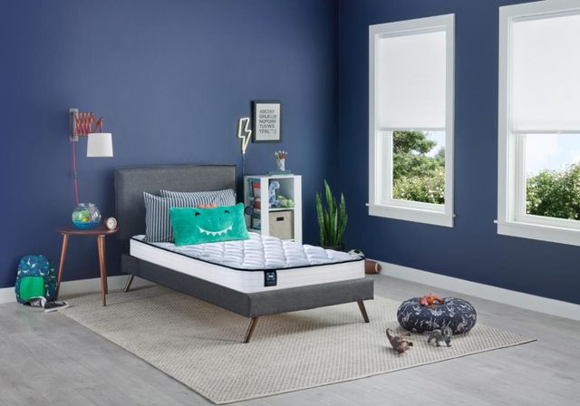 Sealy® Essentials™ Dwayne Memory Foam Extra Firm Tight Top Twin XL Mattress-1