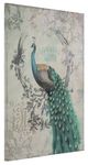 YHD Peacock Poise II Wall Art-1