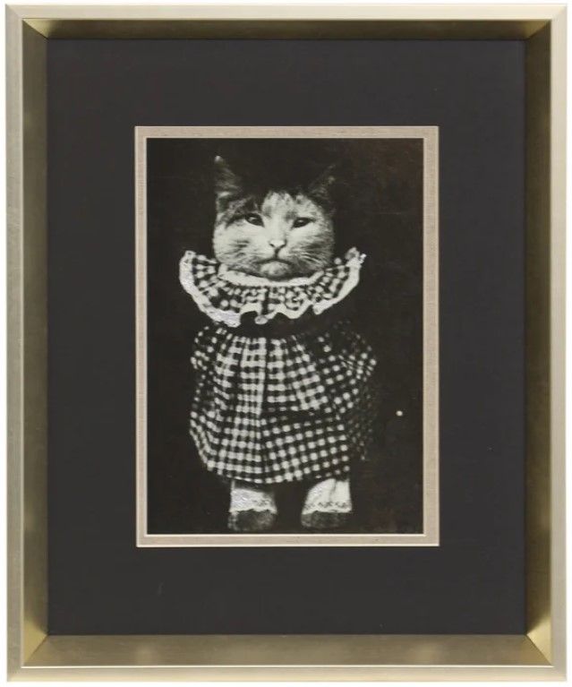 Stylecraft Cat Check Framed Print-0