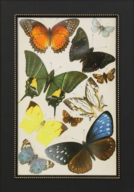 Stylecraft Butterfly II Wall Art-1