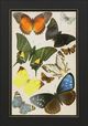 Stylecraft Butterfly II Wall Art-1