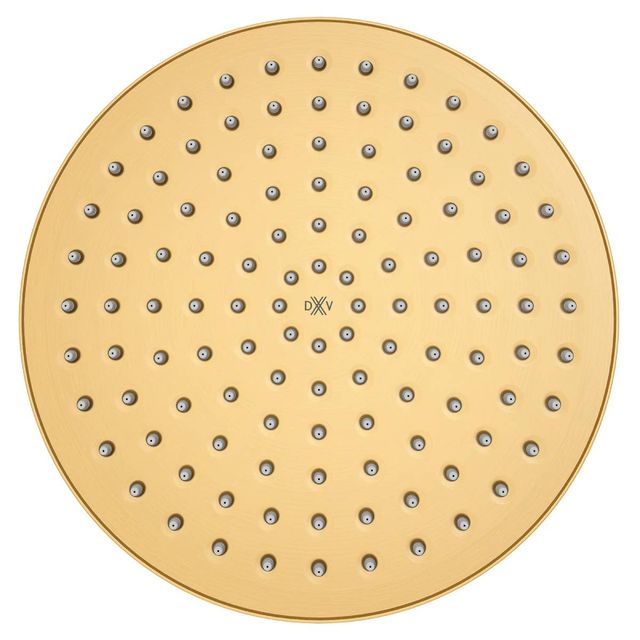 DXV Oak Hill® Satin Brass Single Function 10" Round Rain Can Showerhead-1
