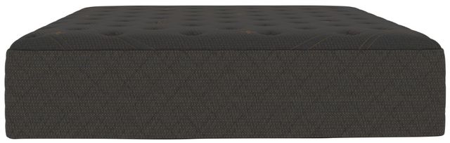 Tommie Copper® Pro-Grade Znergy® 14" Hybrid Plush Tight Top Queen Mattress in a Box-2