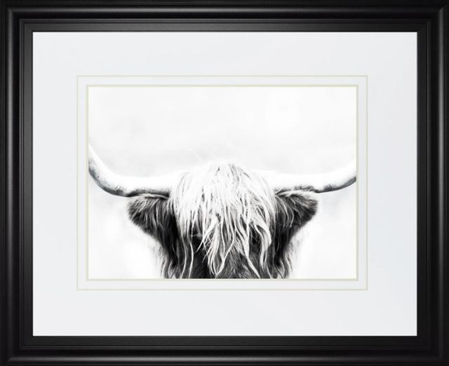 Classy Art Longhorn by Danita Delimont Wall Art-0