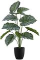 Monarch Specialties Inc. Green/Black 24" Artificial Potted Calathea-0