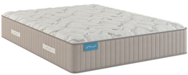 Sherwood® Bedding Spring Free™ Approachable 14" Latex Soft Tight Top Queen Mattress-0