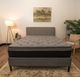 BedTech Twin XL Standard Foundation-1