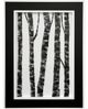 Stylecraft Simpy Birch II Wall Art-0