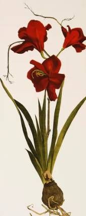 Stylecraft Brown/Green/Off-White/Red Wall Art-1