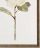 Stylecraft Light Green/White Framed Print-1