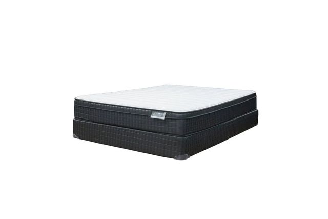 Theadora  EuroTop Cushion Medium Firm Queen Mattress-0