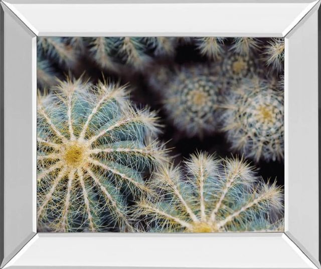 Classy Art Namib by Irene Suchocki Mirrored Frame Wall Art-0