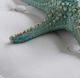 A & B Home Seafoam Green Large Starfish-2
