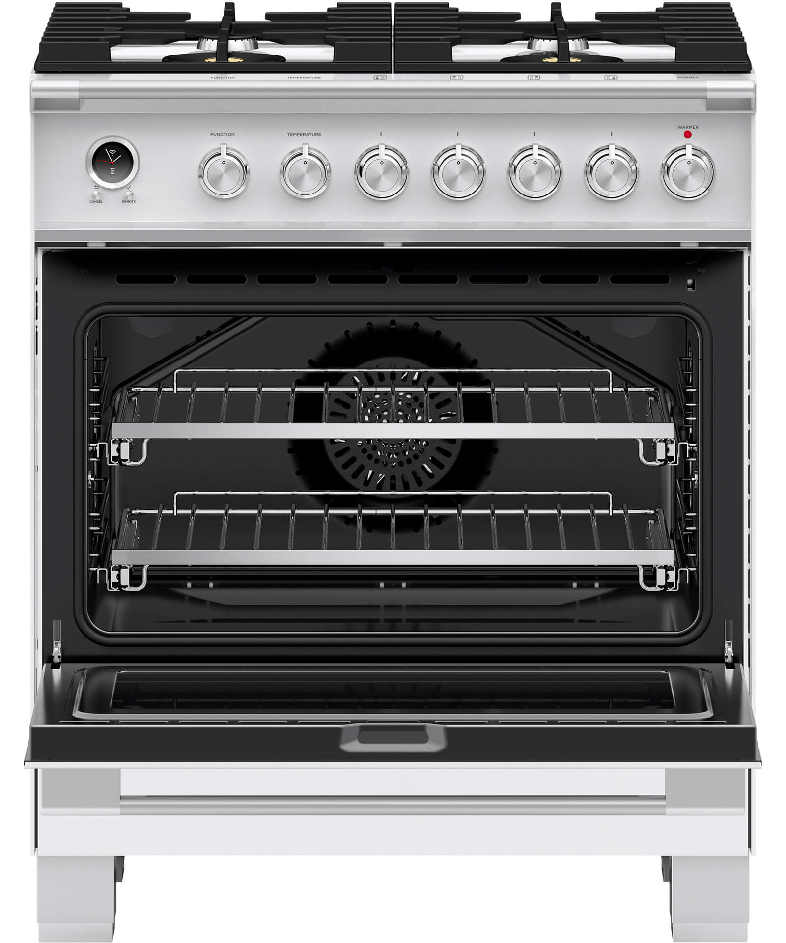Fisher & Paykel Pro Style Dual Fuel Range - Thumbnail 5