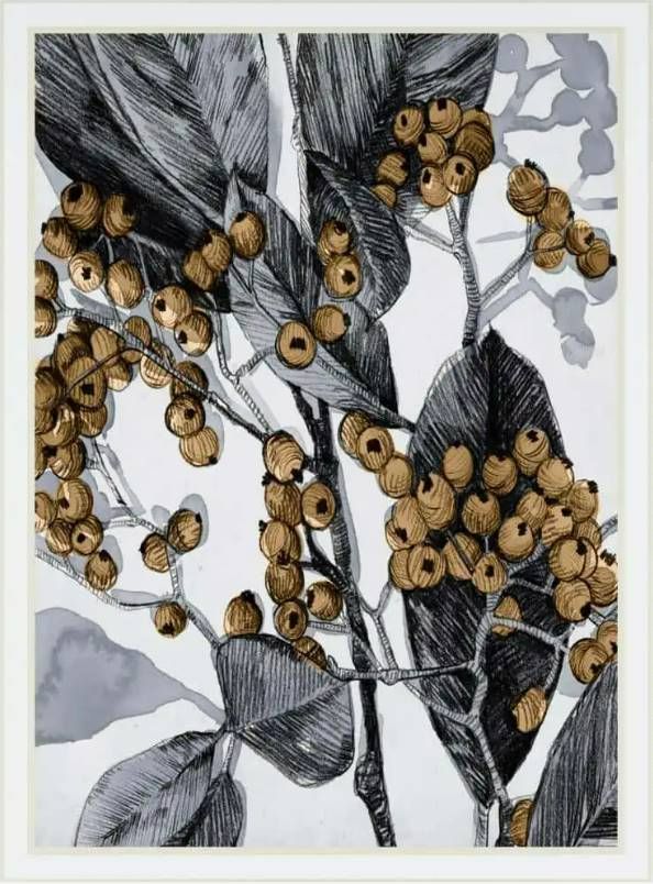 Classy Art Holly Shadow II by Emma Caroline Wall Art-1