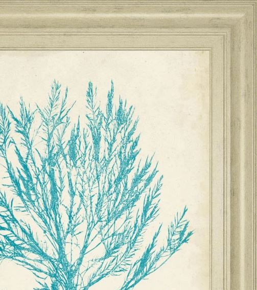 Classy Art Aquamarine Seaweed IV by Vision Studio Wall Art-1