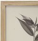 A & B Home Aba 4-Piece Beige/Gray/White Botanical Wall Decor Set-3