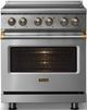 Viking® 5 Series 30" Stainless Steel Pro Style Induction Range with Brushed Brass Trim-4