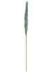 A & B Home Aqua Dried Natural Pampas Grass Bundle-1