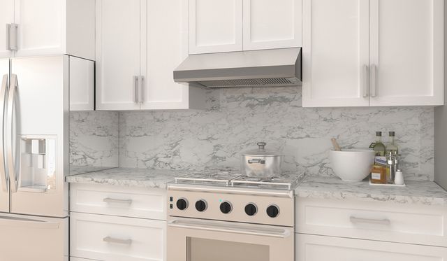 Faber Hoods Maestrale 10 Series 30" Stainless Steel High Wall Range Hood-1