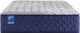Sealy® Carrington Chase Spring Midnight Cove 12.5" Innerspring Firm Split King Mattress-2
