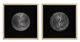 Olliix by Madison Park Aster 2 Piece Silver Framed Resin Set-0