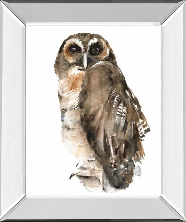 Classy Art Watercolor Owl I by Jennifer Paxton Parker Mirror Framed Wall Art-0