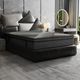 Primo™ International Sterling Cloud Nuovo 15" Hybrid Plush Euro Top King Mattress in a Box-1