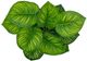 A & B Home Green 9" Leaves with Pot-2