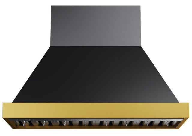 Kucht Professional 48" Titanium Stainless Steel Wall Mounted Range Hood with Gold Accents-1