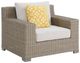 Elements International Ollie Tan/White Cream Olefin and Rattan Outdoor Chair-0