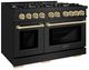 ZLINE 48" Black Stainless Steel Pro Style Dual Fuel Range with Champagne Bronze Accents-1