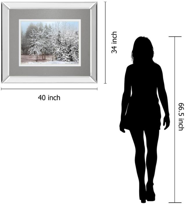 Classy Living Mike Jone Frosty Morning Mirror Framed Wall Art-2