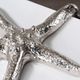 Crestview Collection Starfish 2-Piece Silver Set-2