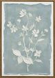 Classy Living Chill Whispering Blooms I Wall Art-0