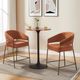 Linon Portland 2-Piece Bronze/Caramel Counter Stool Set-1