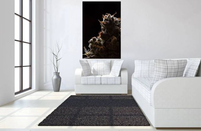 Classy Art Cann 1 Wall Art-3