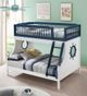 ACME Furniture Farah Navy Blue/White Twin/Full Bunk Bed-1