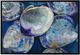 Stylecraft Quahog Wall Art-0