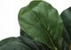Monarch Specialties Inc. Green/Natural 28" Tall Artificial Potted Fiddle Tree-2