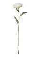 A & B Home Cream 33" Faux Rose-0