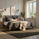 Intercon Matte Modern King Bed-1