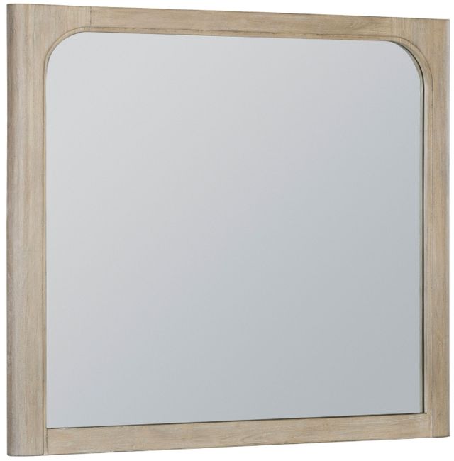 Coaster® Solano Mango Dresser Mirror-3