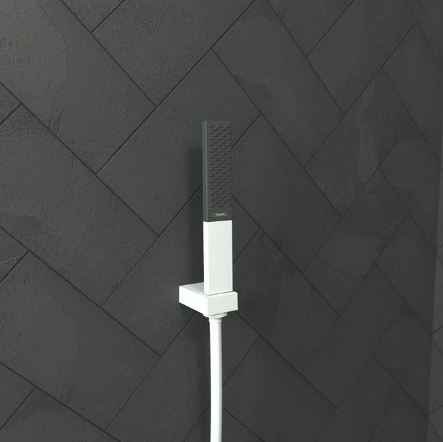 Hansgrohe Rainfinity Matte White Baton Handshower-1